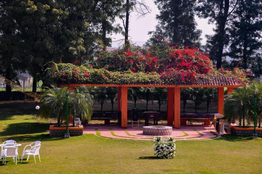 Green Orchid Farms I Swimming Pool I Wedding I Party Gurgaon Exterior foto